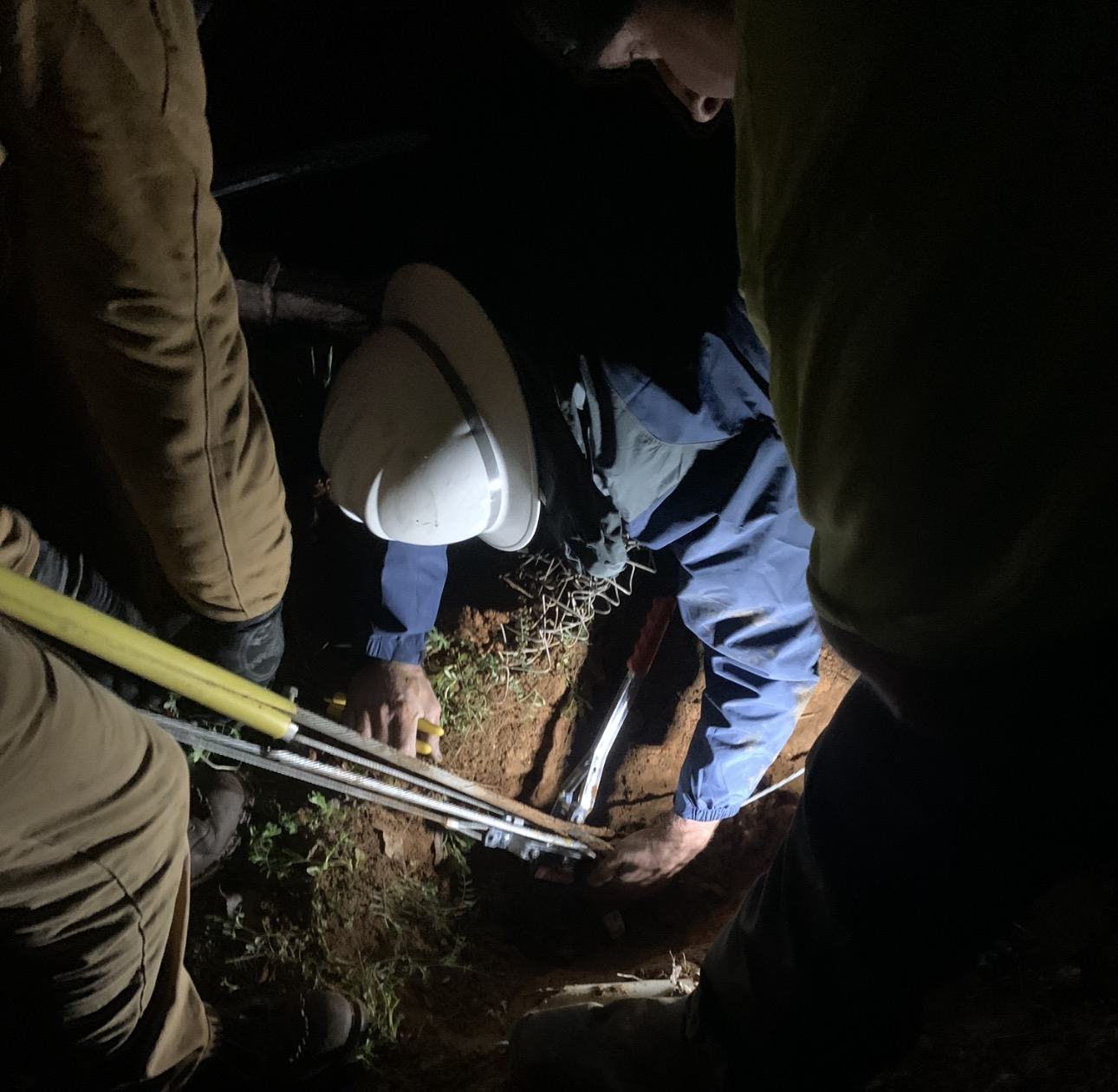 Night work and restoration activity in the field